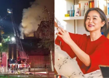 Sources: Weibo/宋娱乐家/Instagram/@brigitte.lin