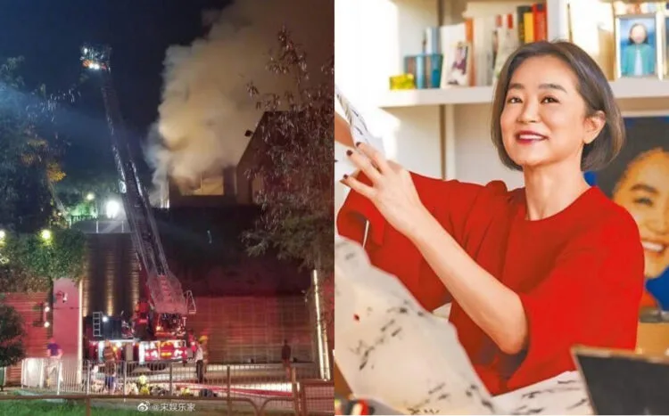 Sources: Weibo/宋娱乐家/Instagram/@brigitte.lin