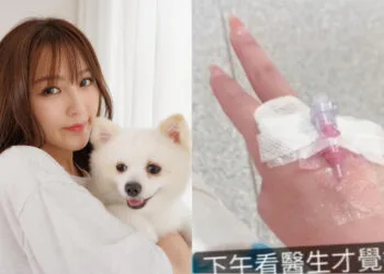 Sources: Facebook/韓曉噯 Hanxiiaoaii/Instagram/@hanxiaoaifans