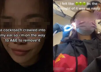 Sources: Tan Tan News/CNA Lifestyle