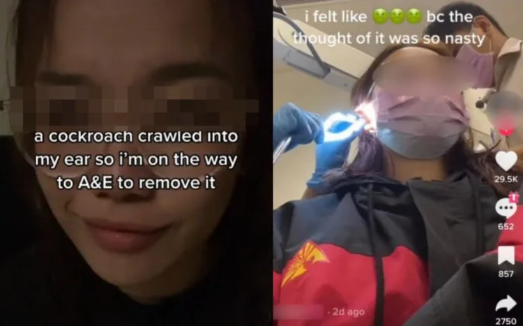 Sources: Tan Tan News/CNA Lifestyle