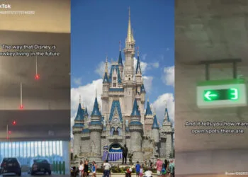 SOURCE: TIKTOK @USER1092837372773748282, PXHERE