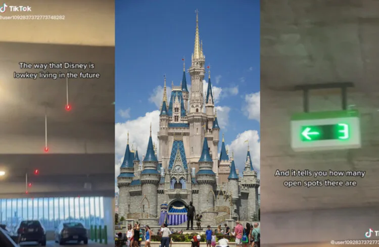 SOURCE: TIKTOK @USER1092837372773748282, PXHERE