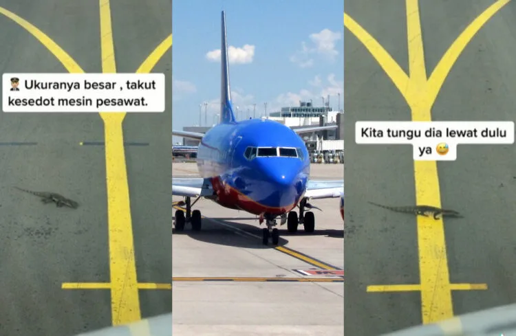 TIKTOK: SENDY_ID, WIKIMEDIA