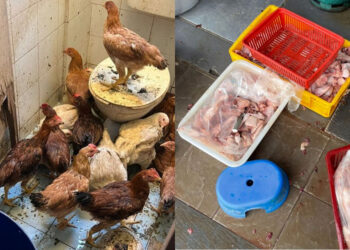 SOURCE: FACEBOOK.COM/JABATAN KESIHATAN PERSEKITARAN MBSA