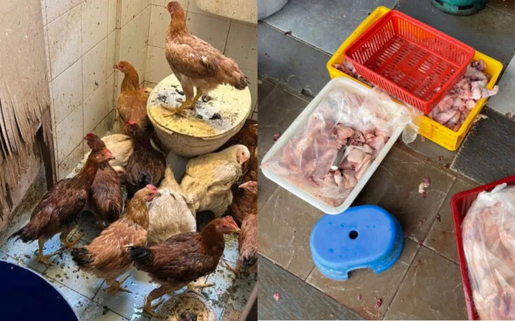 SOURCE: FACEBOOK.COM/JABATAN KESIHATAN PERSEKITARAN MBSA