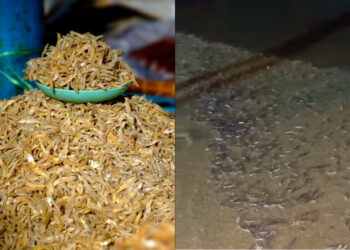 Sources: Flickr/Facebook/OG Pangkor