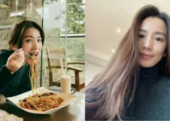 Sources: Weibo/宝二姨/Instagram/@hebe_tien_0330