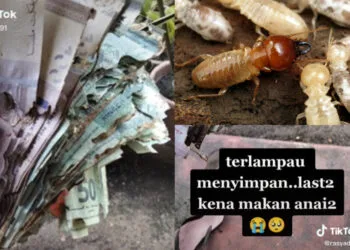 SOURCE: TIKTOK, WIKIMEDIA