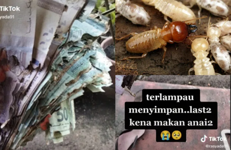 SOURCE: TIKTOK, WIKIMEDIA