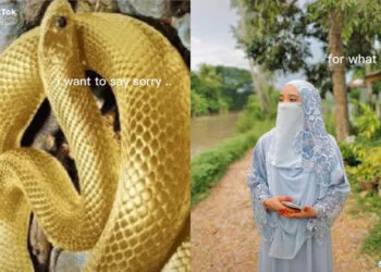 Source: Instagram/@puterisyza