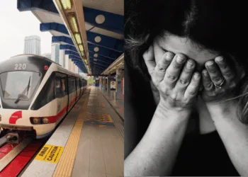 Sources: flickr/Pexels