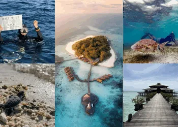 Lankayan Island Dive Resort