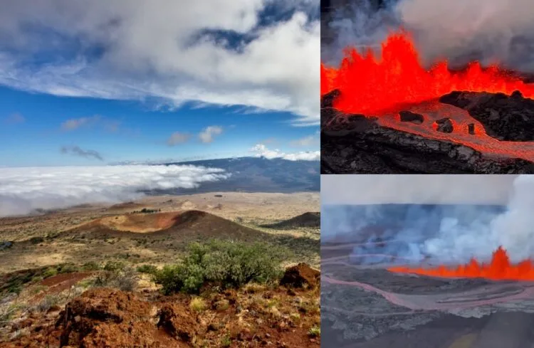 SOURCE: WIKIMEDIA, YOUTUBE/GUARDIAN, YOUTUBE/STARADVERTISER