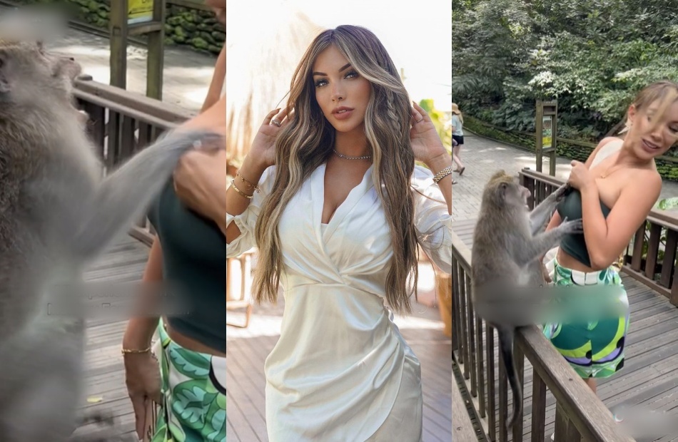 SOURCE: TIKTOK, IG