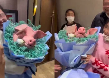 Source: Weibo/秒闻视频