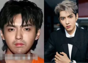 Sources: YouTube/老王/Instagram/@kriswu