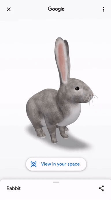 Google Tendencies: 4 Ideas On Celebrating The Yr Of The Rabbit