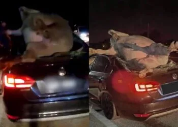 SOURCE: TWITTER, ORIENTALDAILY