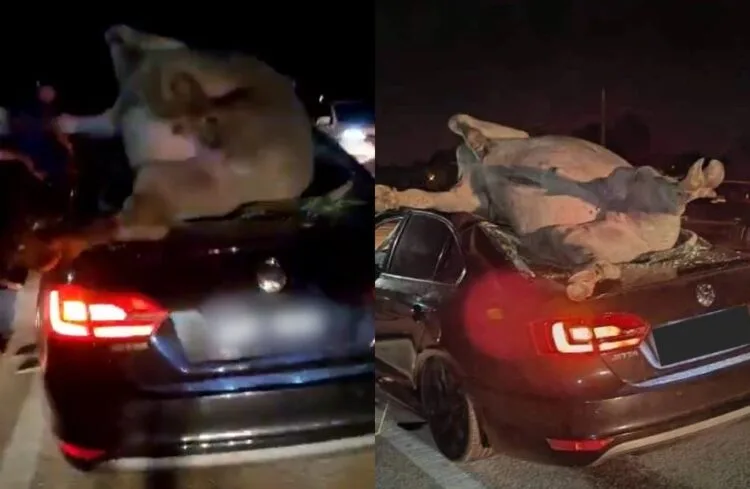 SOURCE: TWITTER, ORIENTALDAILY