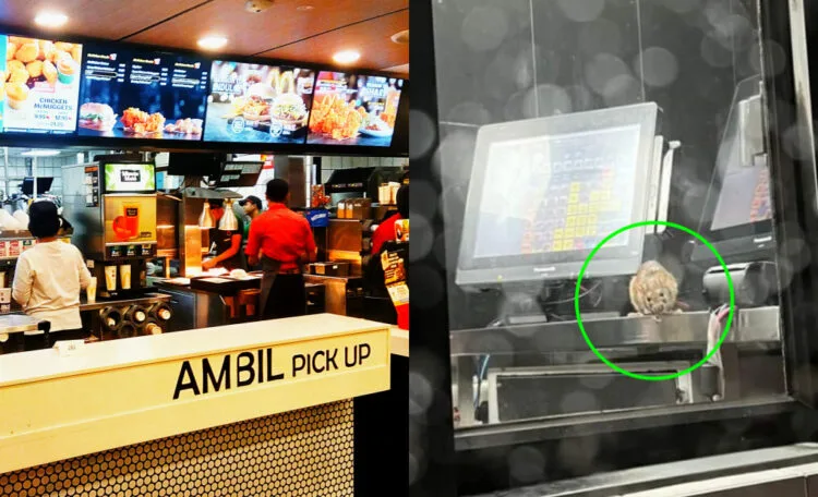 Sources: Wikimedia, Twitter