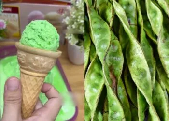 SOURCE: TIKTOK, FLICKR