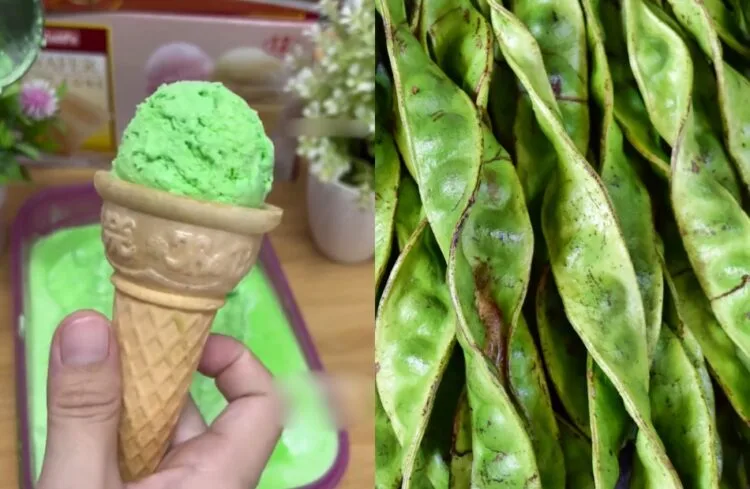 SOURCE: TIKTOK, FLICKR