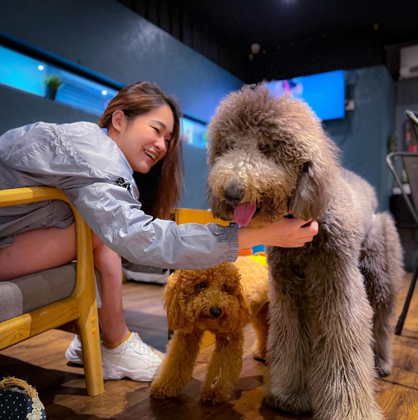 7 Pet Cafes In Malaysia That Are Paw-fectly Kewl (Hoomans Welcome ...