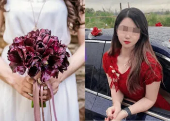 Sources: Sohu/Rawpixel