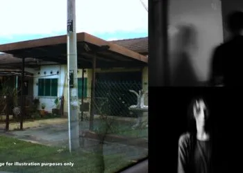 SOURCES: FLICKR, WALLPAPERFLARE, PEXELS