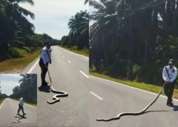 Source: Facebook/Polis Daerah Pontian