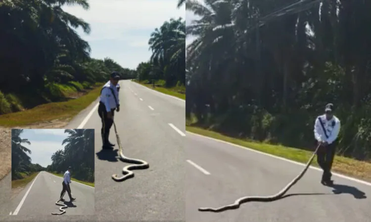 Source: Facebook/Polis Daerah Pontian