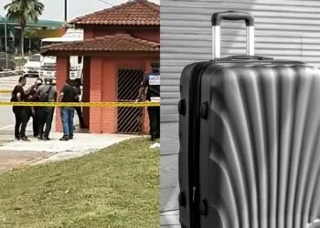 SOURCE: TWITTER, WALLPAPERFLARE