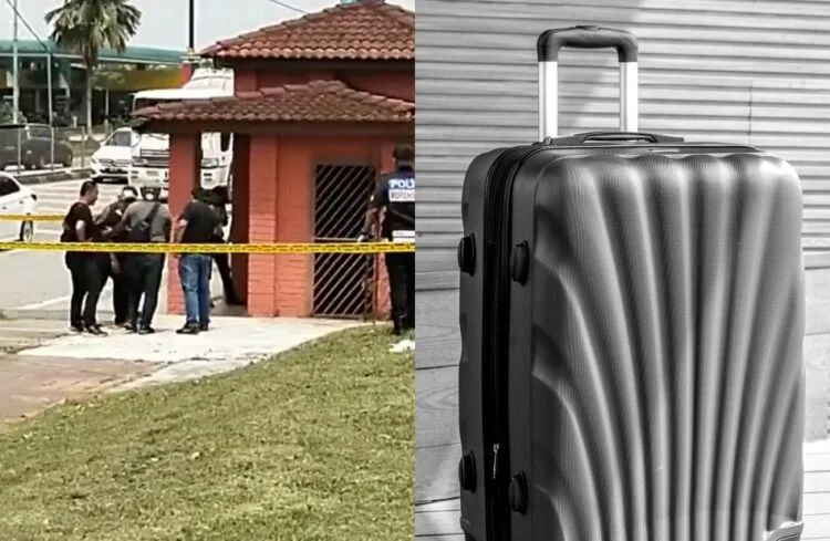 SOURCE: TWITTER, WALLPAPERFLARE