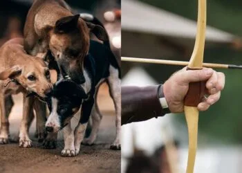 SOURCE: PIXFUEL, WALLPAPERFLARE