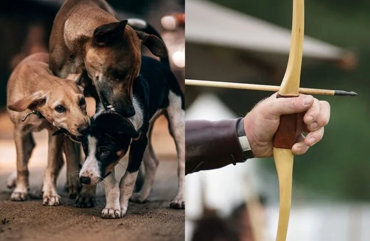 SOURCE: PIXFUEL, WALLPAPERFLARE