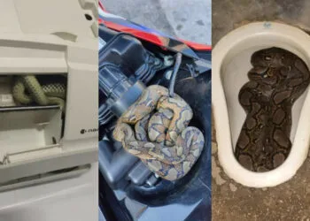 SOURCE: FACEBOOK, SINARHARIAN