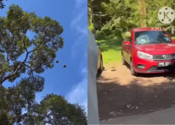 Source: YouTube/Penang ChinaPress