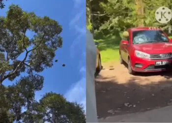 Source: YouTube/Penang ChinaPress