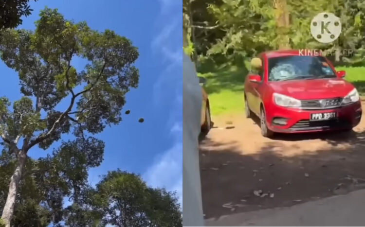 Source: YouTube/Penang ChinaPress