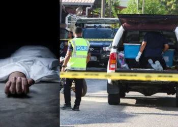 Sources: New York Post/Sinar Daily