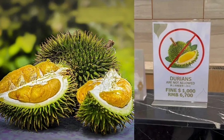 Sources: Wallpaper Flare/小红书