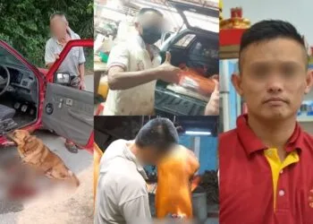 SOURCE: FACEBOOK, SIN CHEW DAILY