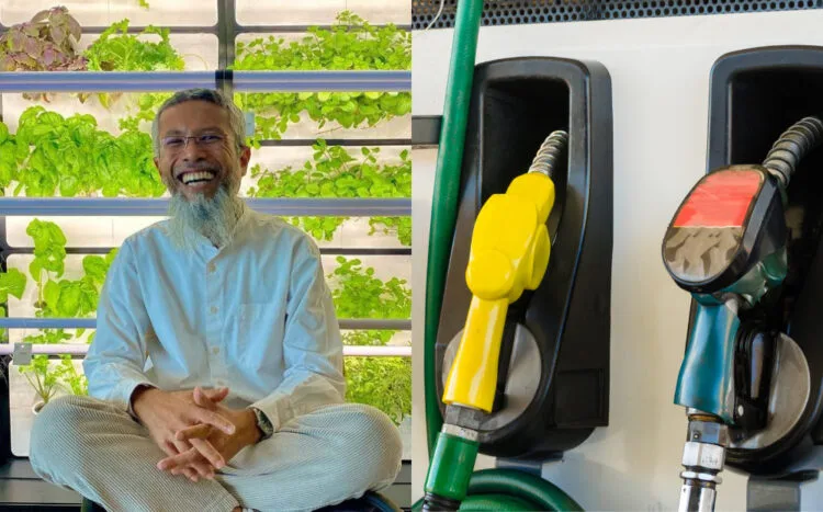 SOURCES: INSTAGRAM & CANVA