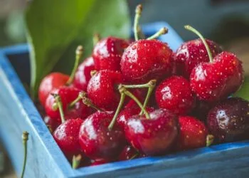 Source: Northwest Cherries