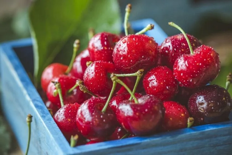 Source: Northwest Cherries