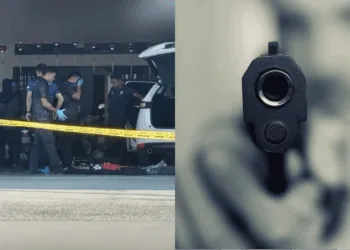 Sources: Pxfuel/Sinar Harian