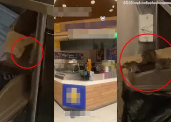 Source: Twitter/@khatulisteewa