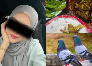 SOURCES: TWITTER & CANVA