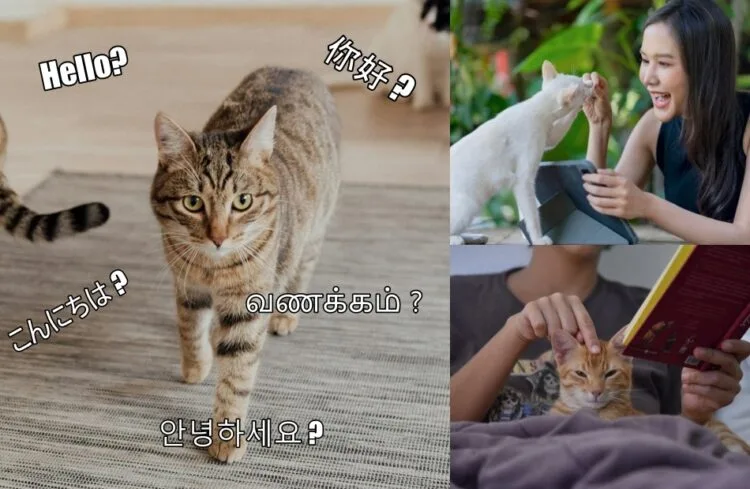 SOURCE: FREEPIK, PEXELS